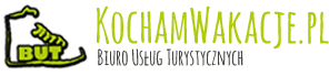 Logo BUT